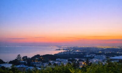 La Villa Des Oliviers