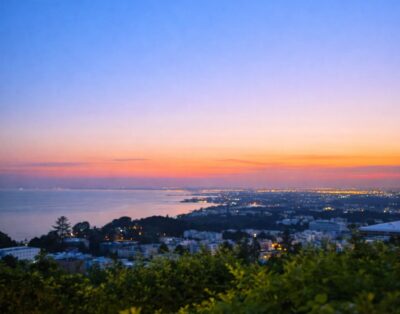 La Villa Des Oliviers